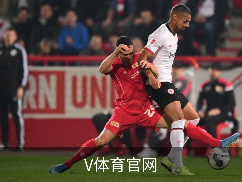 V体育官网介绍